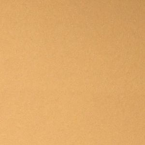 Meet your Posher, Lary